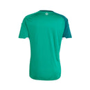 CAMISOLA DA SELEÇÃO DA IRLANDA DO NORTE 26/27 VERDE