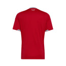 CAMISOLA DA SELEÇÃO DO PAIS DE GALES 26/27 VERMELHO